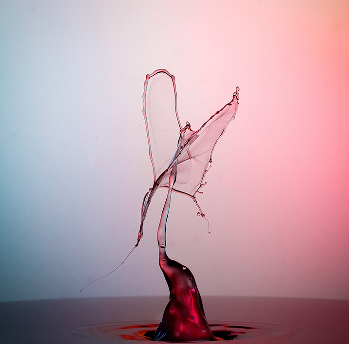 Olivier Hodebert - caviste - Univers Passion