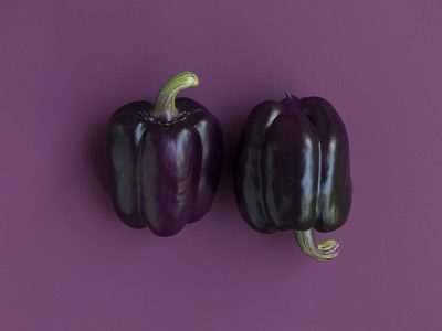 Olivier Hodebert - caviste - La maison